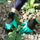 Рукавички з кігтями для саду городу Garden genie прогумовані для роботи в саду