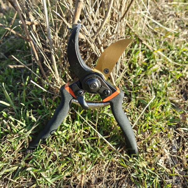 Професійний садовий секатор SK5 Pruner з вуглецевої сталі для обрізання винограду, дерев і квітів