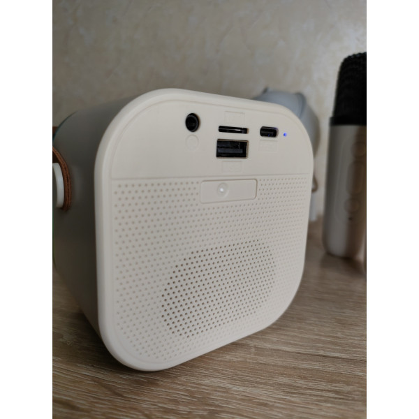 Дитяче караоке з портативною колонкою Блютуз (Bluetooth) на 2 мікрофони Для вокалу підсвічування RGB