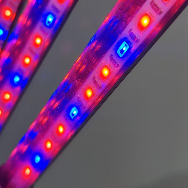 Настільна фітолампа для рослин на прищіпці на 6 гілок USB LED-фітолампа для квітів, фітосвітильник