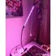 Настільна фітолампа повного спектра на прищіпці, 1 USB LED-фітолампа для рослин і кольорів, фітосвітильник